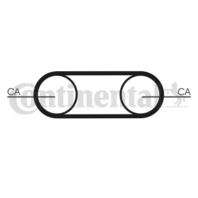 Timing Belt